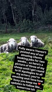 Sorry, it’s been a wild few weeks… these three sheep did NOT book any roles… but our actors did! ⭐️⭐️